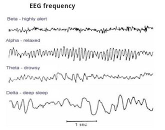 Imagem do blog Pratibimb@Tapmi