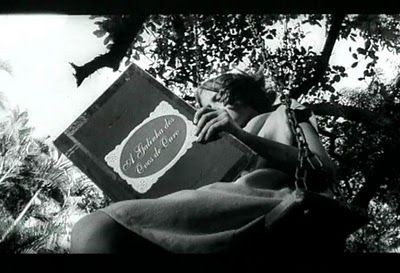 felicidadeclandestina_0000015997