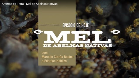 DIA 31012018_Netza_Mel